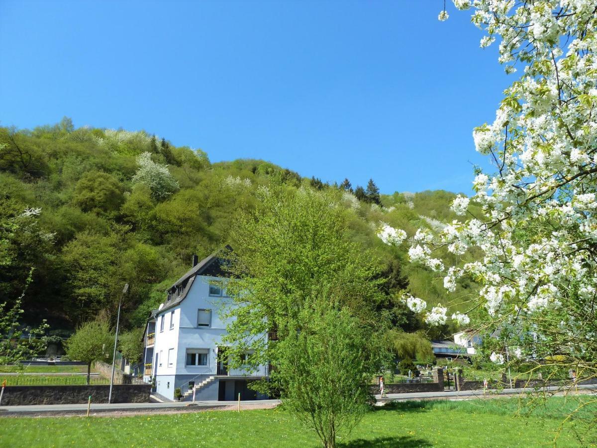Haus Moselwiese Альф Экстерьер фото