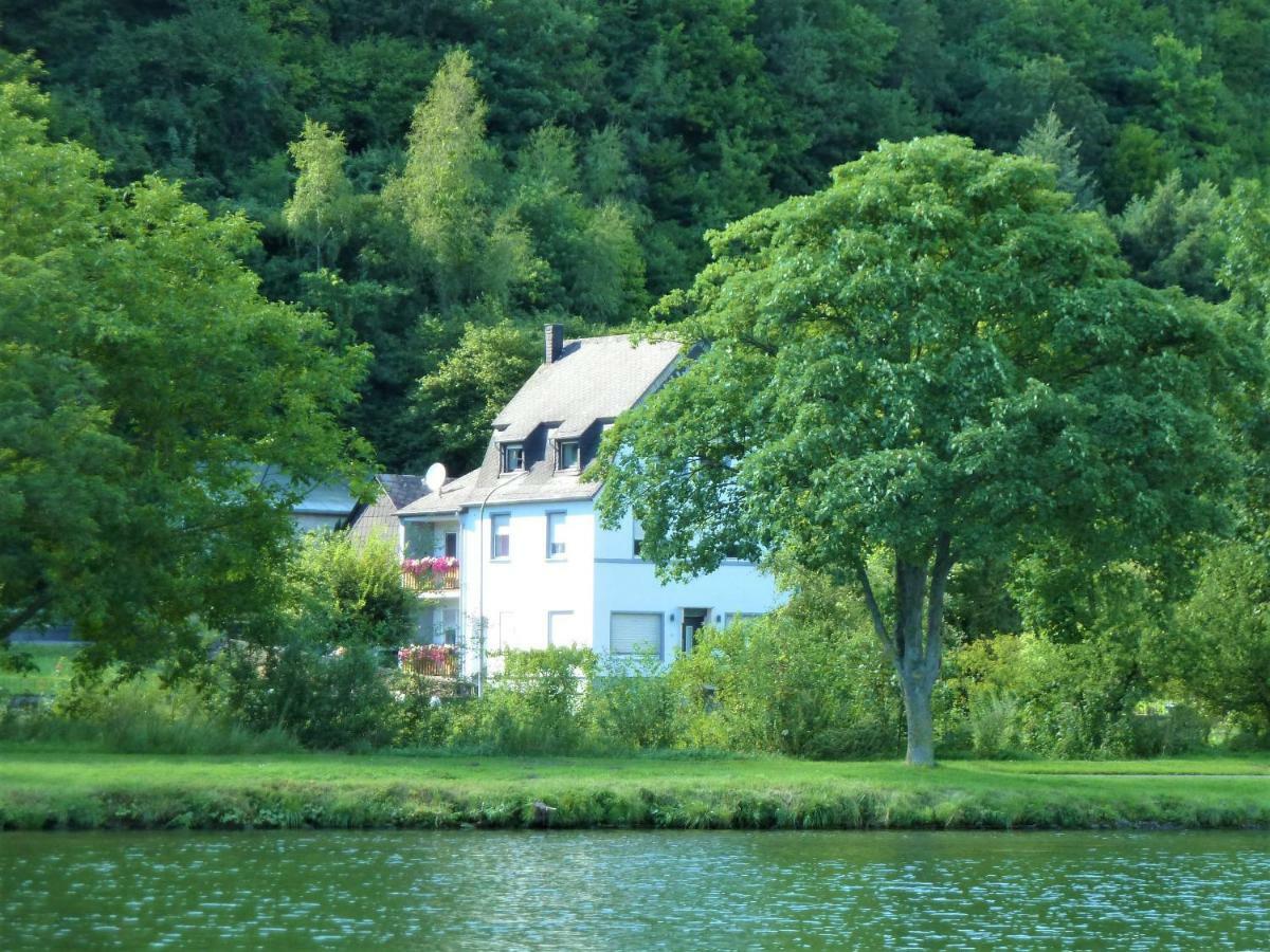 Haus Moselwiese Альф Экстерьер фото