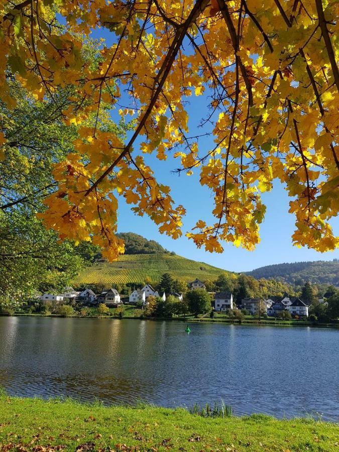 Haus Moselwiese Альф Экстерьер фото